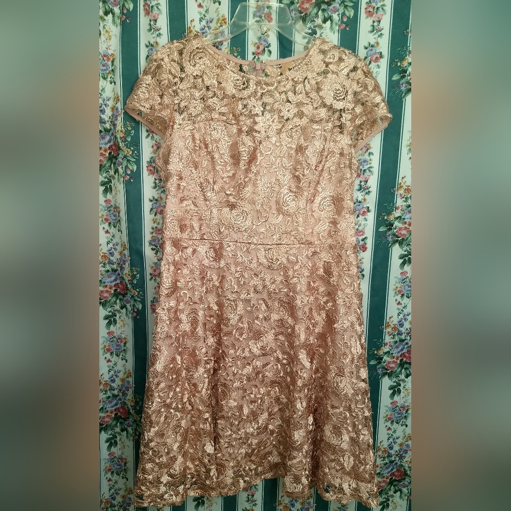 Gorgeous Lace Dress from Marina!